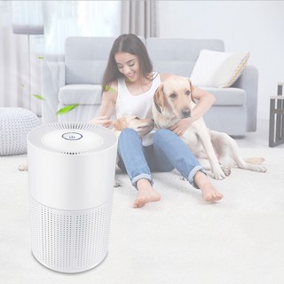 เครื่องฟอกอากาศ Air Cleaner