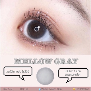 (ส่งฟรีไม่ต้องใช้โค้ด) คอนแทคเลนส์ รุ่น mellow gray bylensland