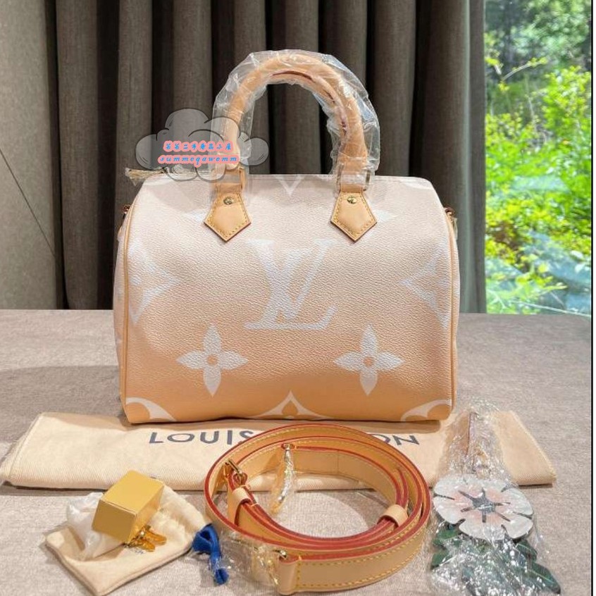 LOUIS VUITTON Louis Vuitton LV Summer Gradient Speedy25 Pillow Bag / Crossbody Bag / กระเป๋าถือ M45722