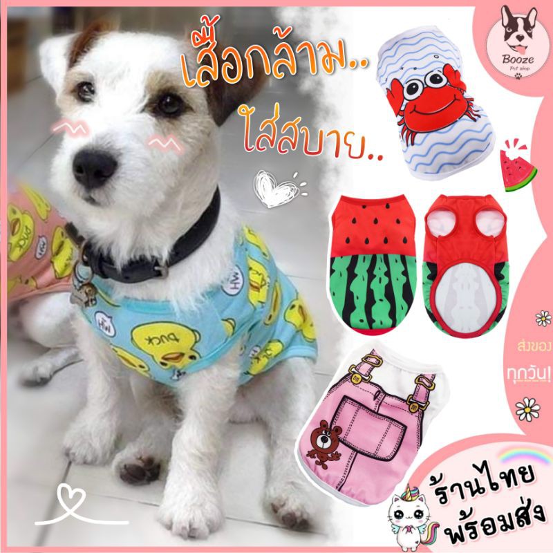 ร้านไทย เสื้อแมว เสื้อผ้าสัตว์เลี้ยง ชุดสุนัขน่ารัก ผ้าบางใส่สบาย เหมาะกับหน้าร้อน
