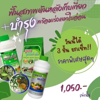 โซตัส ชุดฟื้นฟูสภาพต้นหลังเก็บเกี่ยว ยกเซ็ทสุดคุ้ม โฟแมกซ์ แมกนีเซียม 1L +เกอมาร์ พลัส 1L +นูแทค ซุปเปอร์-เอ็น 1Kg