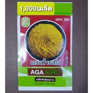 เมล็ดดาวเรืองทเวนตี้ เยลโล่ AGA289 สีเหลืองสดใส1,000เมล็ด เหมาะสำหรับทุกฤดู ต้นสูงดอกใหญ่ สายพันธุ์ใหม่ ดาวเรืองเอกะ289