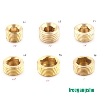 [Freg] 1/8" 1/4" 3/8" 1/2" Npt อะแดปเตอร์ปลั๊กซ็อกเก็ตทองเหลือง