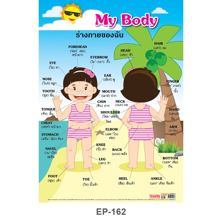 INTOP By OST Plastic Poster My Body ร่างกายของฉัน : 50x70cm #EP-162