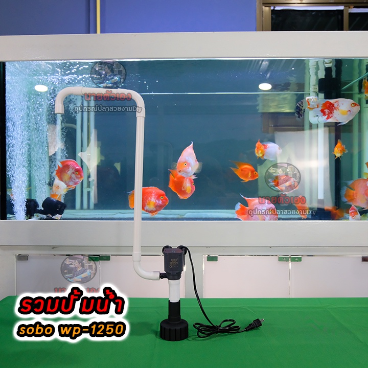 ชุดสกิมเมอร์จิ๋วหัวเดียวสำหรับดูดพื้นตู้ปลา18" ถึง 48" สีดำขาวหน้าจาน2.6"(ครบชุดตามภาพ)(รวมปั้มน้ำsobo wp-1250)