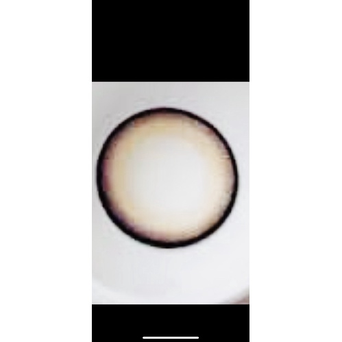 คอนแทคเลนส์ SeeShell Brown สีน้ำตาลขนาดตาโต มีสายตาถึง -7.00 ราคา ถูกที่สุด ดีลบีเคเค แกลเลอรีภาพที่ 3
