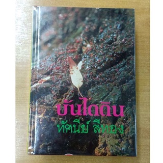 บันไดดิน : ทัศนีย์ สีทอง