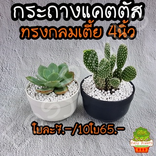 กระถางพลาสติก กระถางแคตตัส และกล้าไม้ขนาดเล็ก ขนาด 4 นิ้ว แพ๊ค 10 ใบ เพียง 65 บาท ถูก ดี สวย ทน ของต้องมี