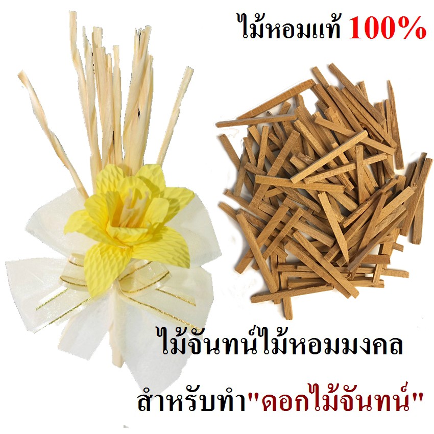 My Image 26