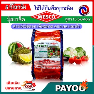 บรรจุ 5 กิโลกรัม WESCO ปุ๋ย 13.5-0-46.2 โพแทสเซียมไนเตรท จี-ฟาสต์ ปุ๋ยเกล็ด เวสโก้ สารเร่งช่อดอก เพิ่มขนาด ดอก ผล และหัว