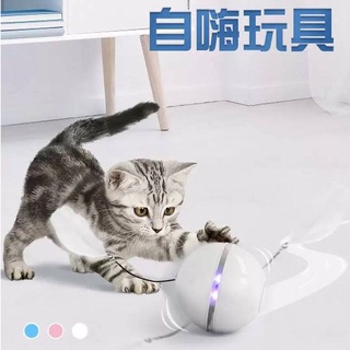 4PETS ลูกบอลเลเซอร์สำหรับแมว กลิ้งได้อัตโนมัติ (ชาร์จ USB) + อุปกรณ์เสริม 2 ชิ้น