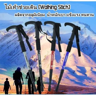 ZC CAMP ไม้เท้าเดินป่า ไม้เท้าช่วยเดิน อุปกรณ์เดินป่า ปรับระดับความสูงได้ 50 -110 CM. ช่วยพยุงได้ดี แข็งแรง ทนทาน(คละสี)