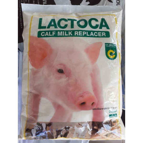 นมผงแลคโตคา(lactoca) นมผง สำหรับ สัตว์ นมหมู นมวัว นมผงสำหรับสัตว์ ขนาด1kg.