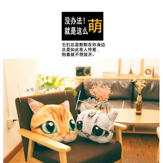 หมอนแมว ขนาด 38x28cm หน้าตาน่ารักน่ากอด ตุ๊กตาแมว Pillow Cat Doll