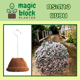 Magicblock ก้อนเพาะปลูกมหัศจรรย์แบบแขวน