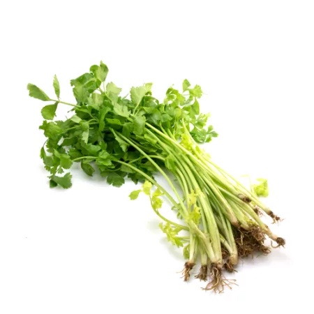 ขึ้นช่ายไทย สด สะอาด รับประกันคุณภาพ