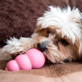 Kong Classic Puppy ของเล่นสัตว์เลี้ยง
