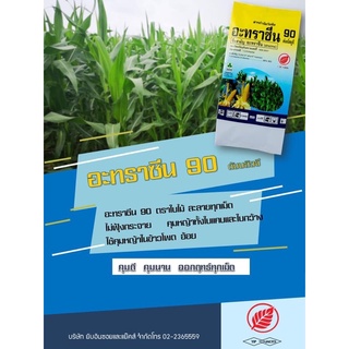 อะทราซีน 90 WG   ตราใบไม้  ขนาด1กิโล