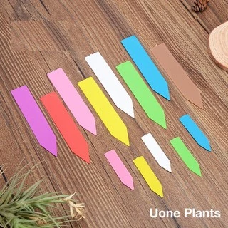 Uone Garden ป้ายชื่อต้นไม้แพ็คละ 10x2cm PVC สำหรับตกแต่งสวน 100 ชิ้น อุปกรณ์ตกแต่งสวน จัดสวน T010A