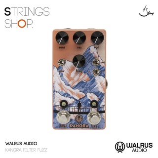 เอฟเฟคกีตาร์ Walrus Audio Kangra Filter Fuzz