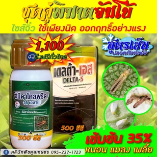 ชุดคู่พิฆาตจัมโบ้ 500 ซีซี  ใช้ป้องกันกําจัดเพลี้ยไฟ เพลี้ยกระโดด  เพลี้ยไก่แจ้แมลงสิงแมลงหล่า หนอนปลวกออกฤทธิ์เฉียบพลัน