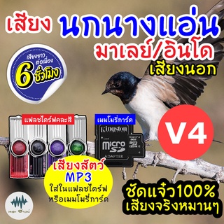 (MP3 เสียงต่อสัตว์) เสียงนกแอ่นอินโด-เสียงนอก V.4 [6ชั่วโมง] ใส่เมม/แฟลชไดร์ฟ มีเก็บเงินปลายทาง ชัดเข้าไว100% ไม่มีโฆษณา