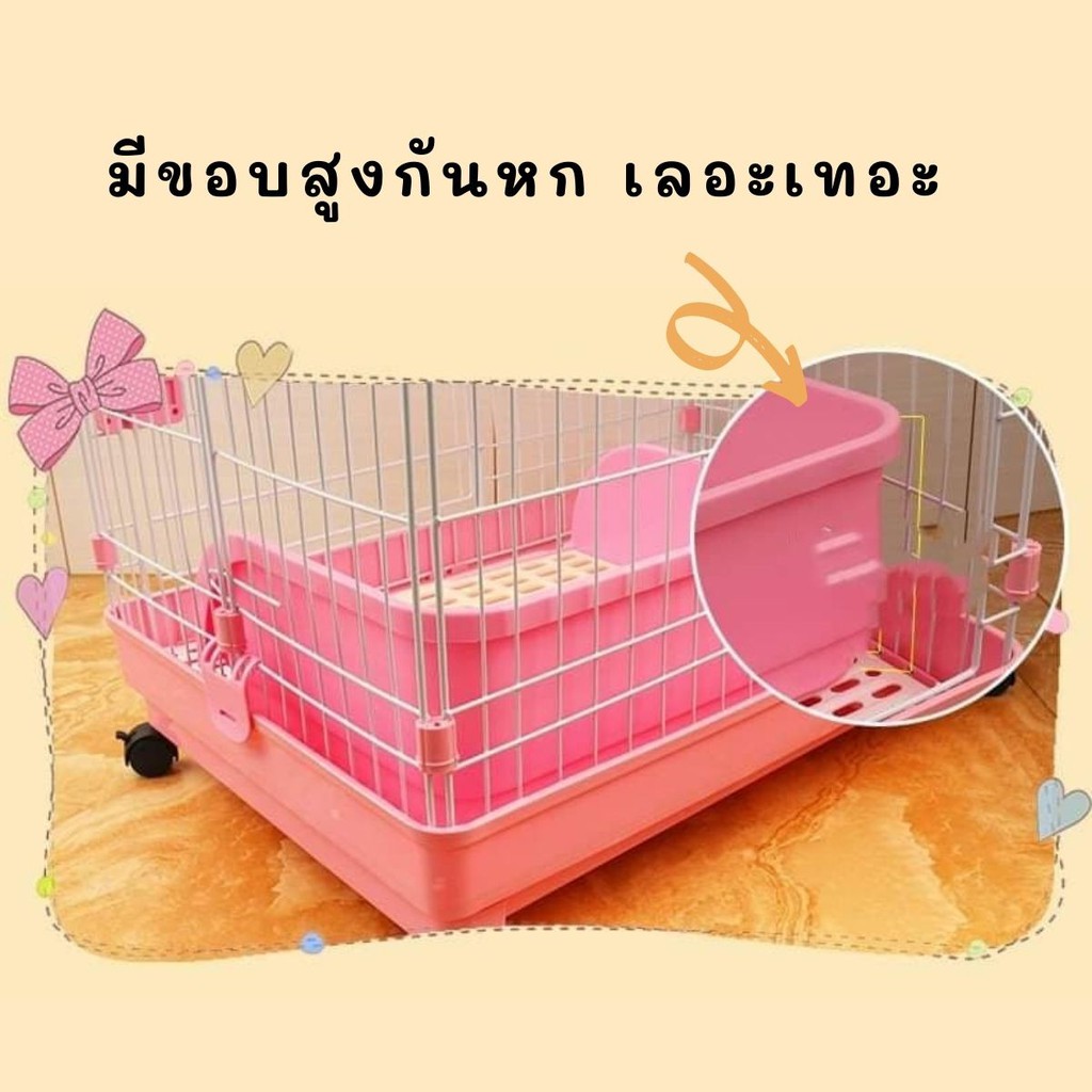 CatHoliday ห้องน้ำกระต่าย XL ห้องน้ำสัตว์เลี้ยง