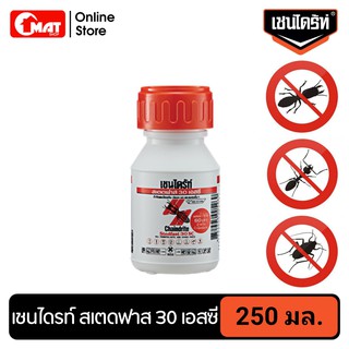 เชนไดร้ท์ สเตดฟาส 30เอสซี กำจัดปลวก มด และแมลงอื่นๆ ขนาด 250ml Chaindrite Stedfast 30SC 250cc