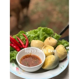 ไข่ข้าว/ไข่ตัว นึ่งสุก(ไข่ไก่)