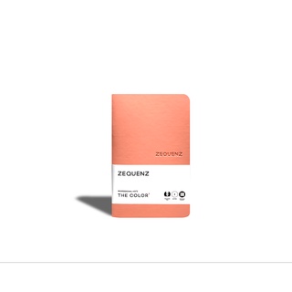 ZEQUENZ THE COLOR   Professional Note สีส้มพีช PEACH