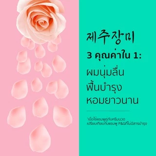 Rejoice รีจอยส์ เจจู โรส Jeju Rose แชมพู ขนาด 525 ml