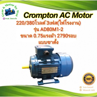 Crompton 0.75แรง 2โพล 3เฟส(ไฟโรงาน)