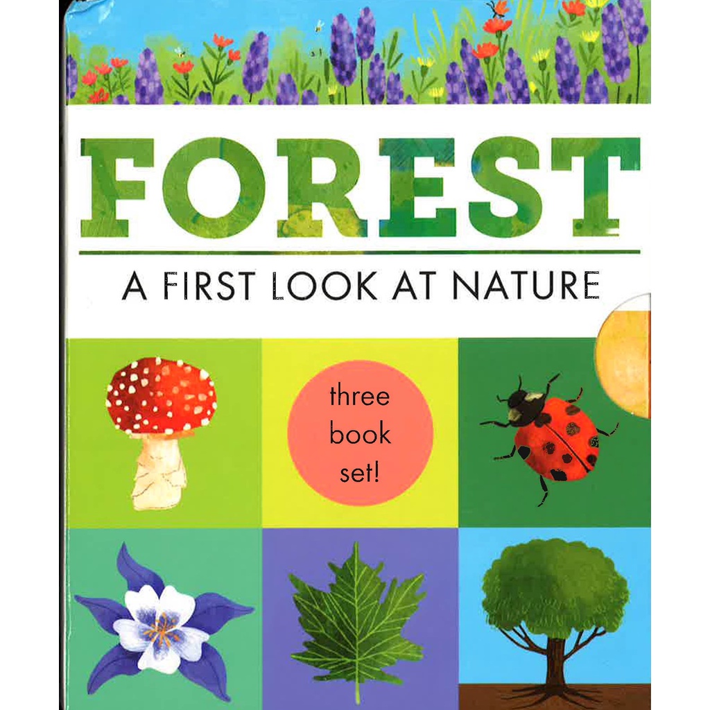 BBW หนังสือ Hidden World - 3 Books In Slipcase: Forest ISBN: 9781848579699