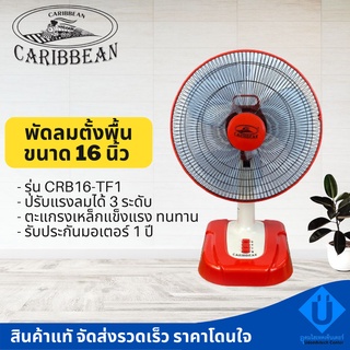 Caribbean พัดลมตั้งโต๊ะ 16 นิ้ว ยี่ห้อคาริเบียน รุ่น CRB16-TF1 ราคาถูก คละสี