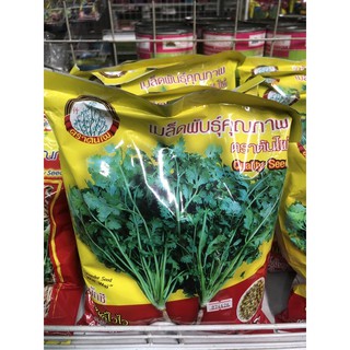 ขายส่ง75฿ เมล็ดผักชี พันธ์ไวไว เมล็ดผักชี พันธุ์สตาร์ 300g ตราต้นไผ่ ตราปลาวาฬ ตราปลาทอง บิ๊กเอ ผักชีศรแดง