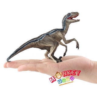 Monkey Toys - โมเดลไดโนเสาร์ Velociraptor ลายฟ้า ขนาด 16.00 CM (จากหาดใหญ่)