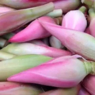 Bunga Kecombrang segar 250 gram