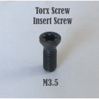 TorxScrew,InsertScrew,น็อตยึดมีดกลึง,น็อตยึดมีดกัด,น็อตยึดมีดมิลลิ่ง,น็อตสกรูดาวม,CarbideCNClathe,MillingCNC