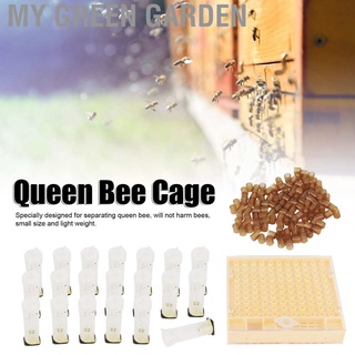 My Green Garden Queen Bee Rearing Box Cage Plastic Breeding Cell Cup Kit Beekeeping Equipments Supplies