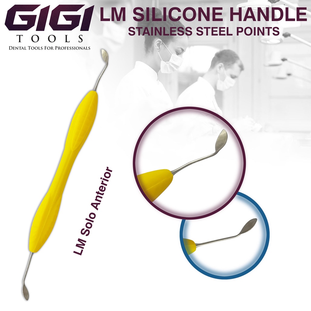 GIGI Tools Dental LM Solo Anterior เรซิ่น filler การฟื้นฟูความงาม LM Resin ตัวแต่งตัวพลาสติกพร้อมที่จับซิลิโคน