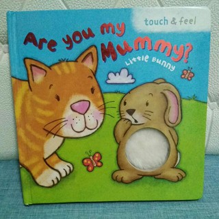 Are You My Mummy? Little Bunny  (bored book)