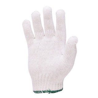 ✨นาทีทอง✨ PARAGON ถุงมือถักคอตตอน(แพ็ค12คู่) ขนาด 500กรัม สีขาวขอบเขียว
