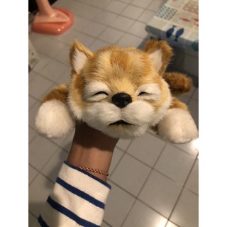 😹น้องแมวหัวเราะได้ของใหม่ใส่ถ่านแล้วกลิ้งตัวหัวเราะพร้อมส่งจ้า😹
