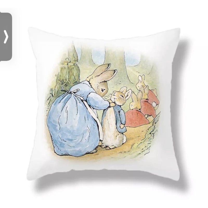🌷พร้อมส่ง🌷ปลอกหมอนอิงพิมพ์ลาย Peter Rabbit 🐇🕊