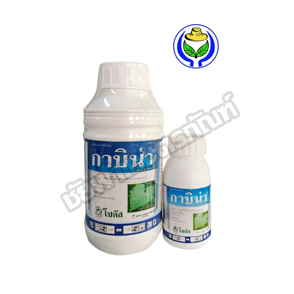 กาบิน่า (Kabina) 500 cc ป้องกันกำจัดโรคใบจุดสีม่วง โรคราแป้ง ในพืชชนิดต่างๆ ได้ดีเยี่ยม