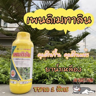 ยาน้ำเหลือง (เพนดิเมทาลิน) คุมแห้ง ขนาด 1 ลิตร