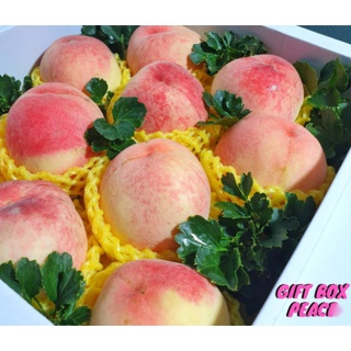 ลูกพีชสดนำเข้า (1) PEACH 桃もも (CHN) ~ลดพิเศษ~ พรีเมี่ยม Premium ! (ลูกท้อสด ผลไม้ลูกพีชนอก ขายส่ง ราคาส่ง)