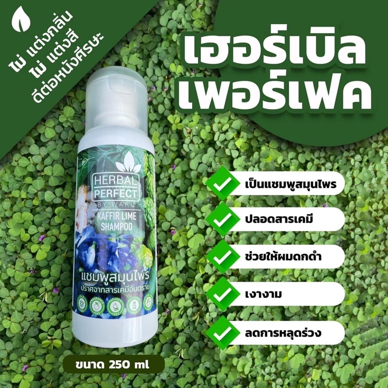 แชมพูสมุนไพรสูตรโบราณ Herbal perfect by WARU