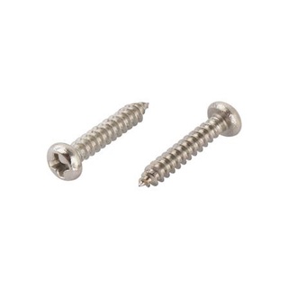 อุปกรณ์ยึดติด สกรูเกลียวปล่อย TP 3X15 มม. 25 ตัว Screws, Nuts &amp; Washers