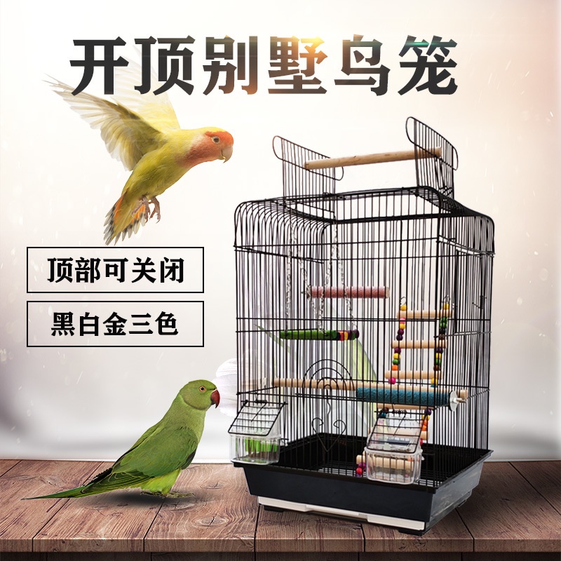 My Image 14